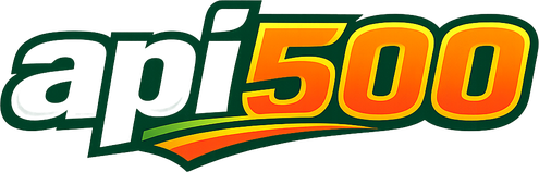 Logo api500